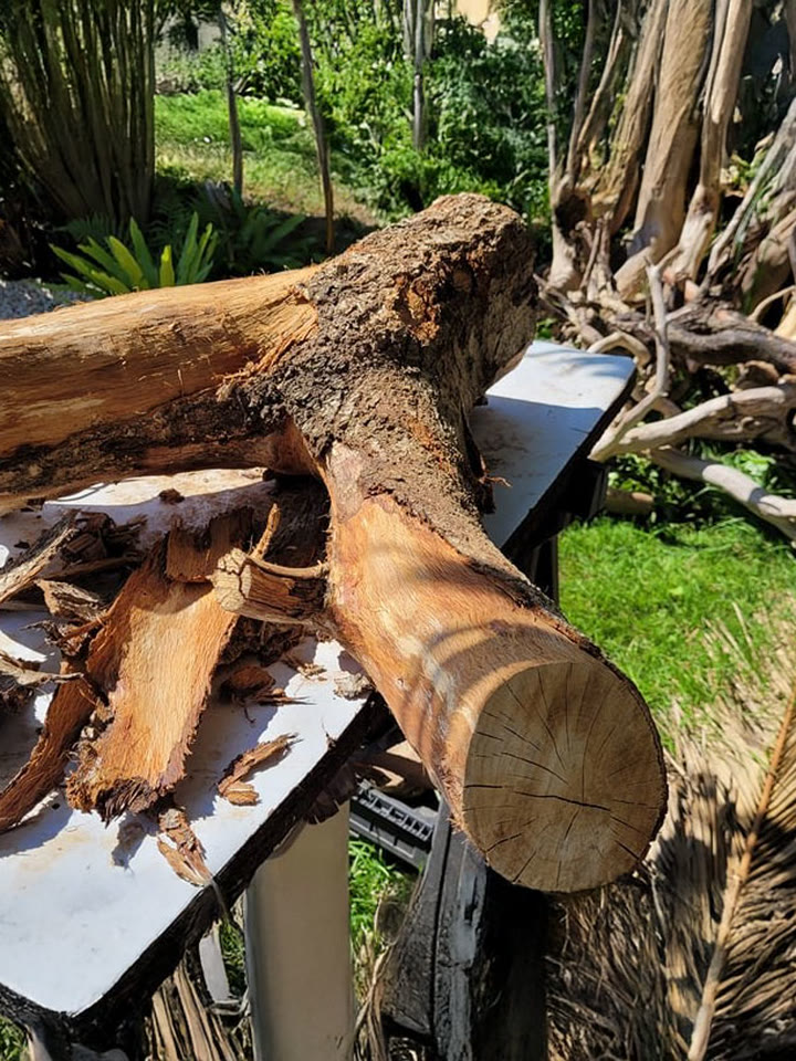 Morceaux de bois flotté en préparation à l'atelier