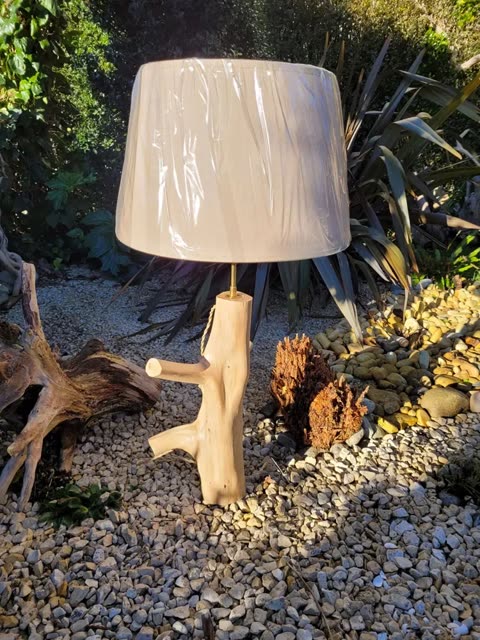 Lampe en bois flotté, pièce 5